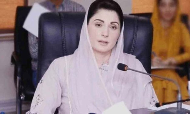 پتنگ بازی کی دھاتی ڈور پختونخوا سے بن کر پنجاب آرہی ہے ، مریم نواز